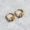 Shiny earrings